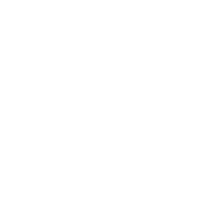 Minimal Invasive Discectomy