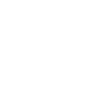 Spine and Joint disorders